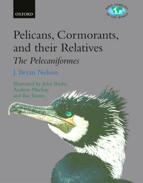 Cover image for book Pelicans, Cormorants, and their Relatives