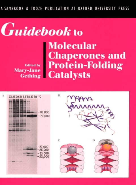 Cover image for book Guidebook to Molecular Chaperones and Protein-Folding Catalysts