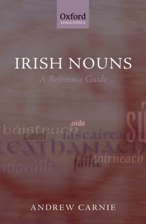 Cover image for book Irish Nouns