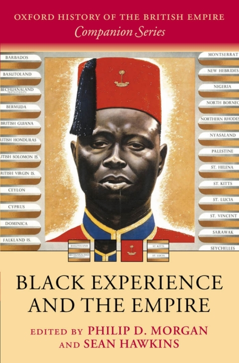Cover image for book Black Experience and the Empire