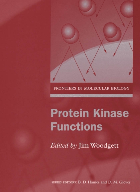 Cover image for book Protein Kinase Functions
