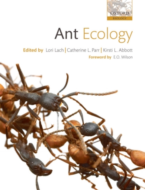 Cover image for book Ant Ecology