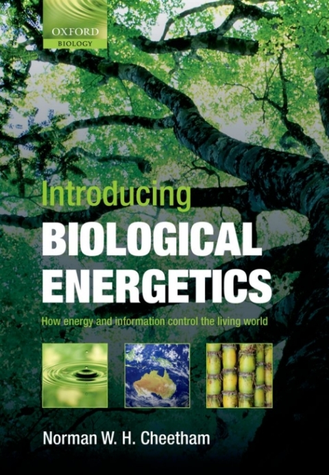 Cover image for book Introducing Biological Energetics
