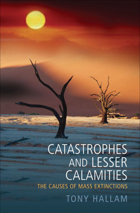 Cover image for book Catastrophes and Lesser Calamities