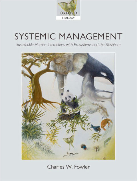 Cover image for book Systemic Management