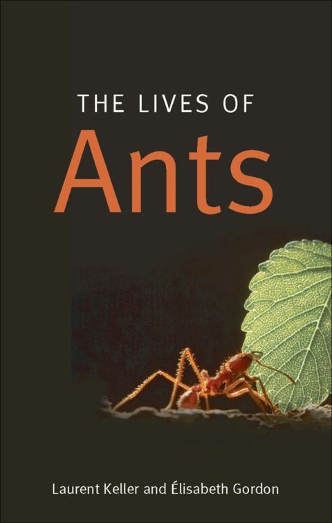 Cover image for book The Lives of Ants