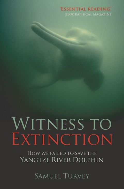 Cover image for book Witness to Extinction