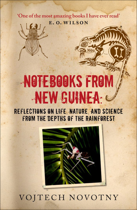 Cover image for book Notebooks from New Guinea
