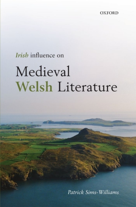 Cover image for book Irish Influence on Medieval Welsh Literature