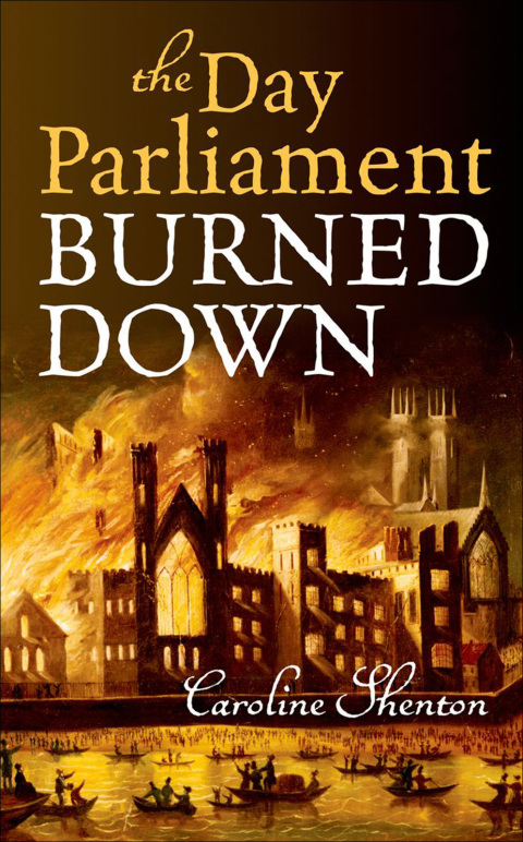 Cover image for book The Day Parliament Burned Down