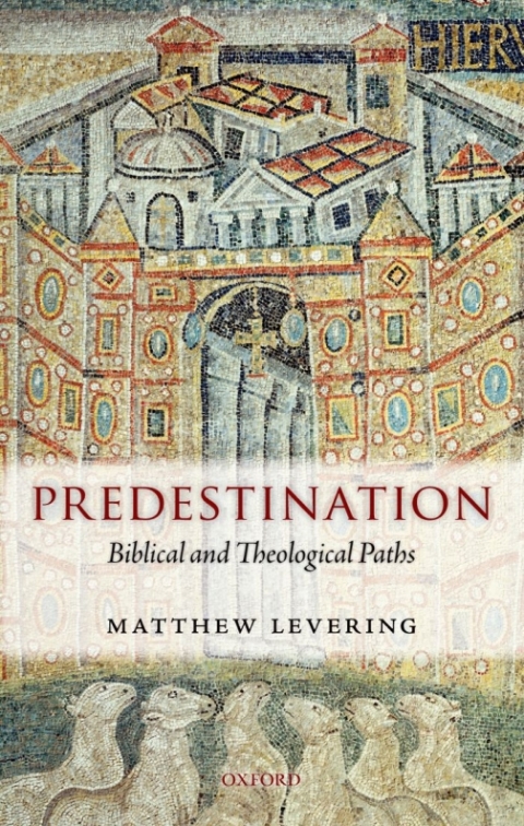 Cover image for book Predestination
