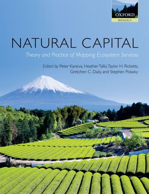Cover image for book Natural Capital
