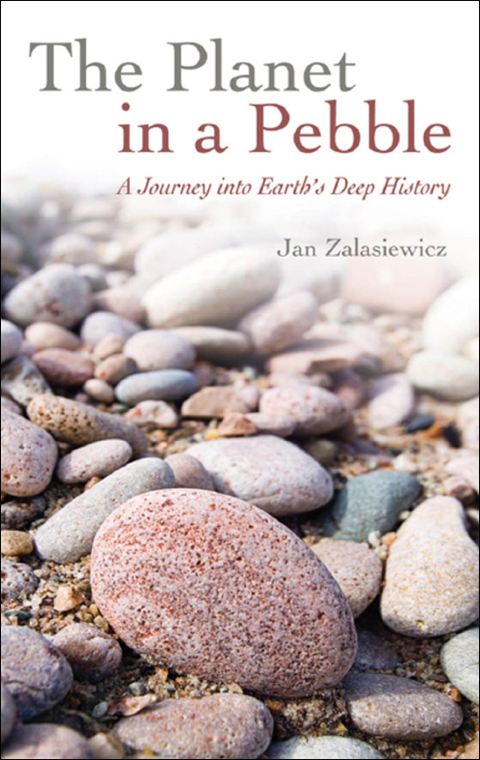 Cover image for book The Planet in a Pebble