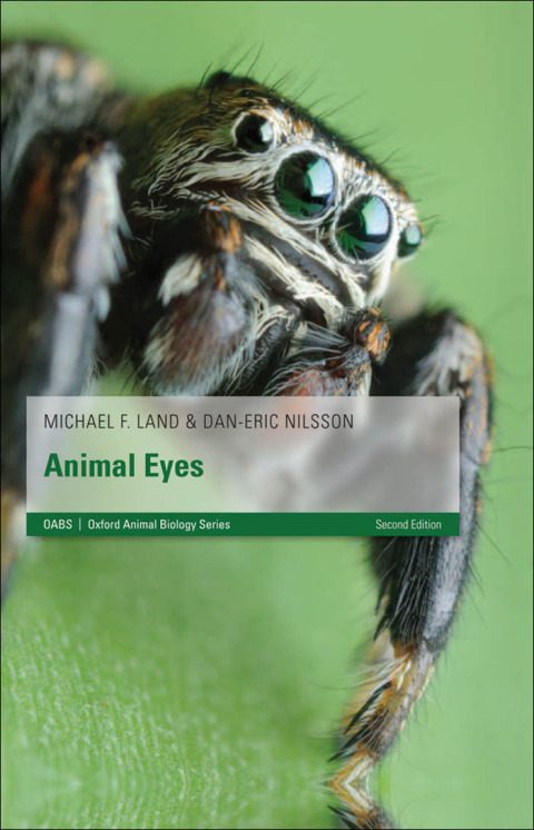 Cover image for book Animal Eyes