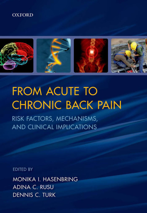 Cover image for book From Acute to Chronic Back Pain