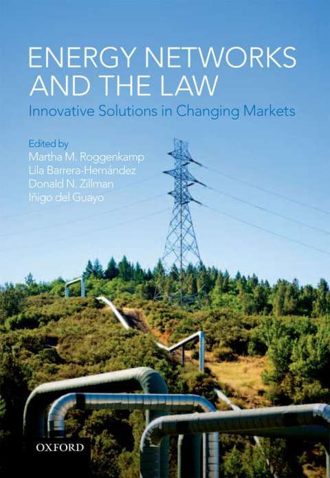 Cover image for book Energy Networks and the Law