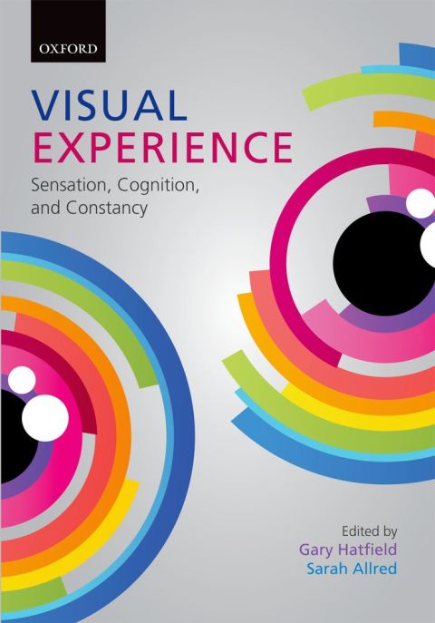 Cover image for book Visual Experience