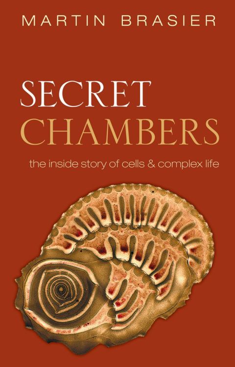 Cover image for book Secret Chambers