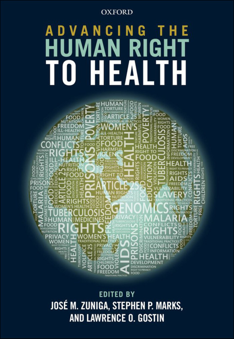 Cover image for book Advancing the Human Right to Health