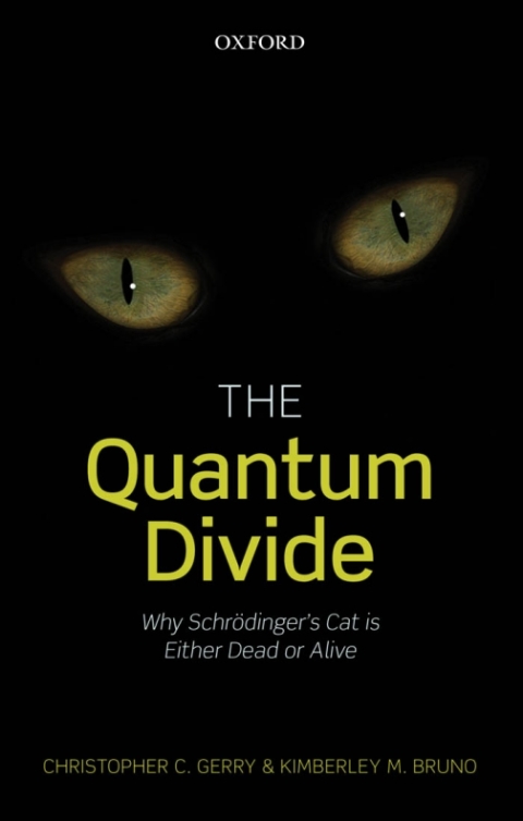 Cover image for book The Quantum Divide