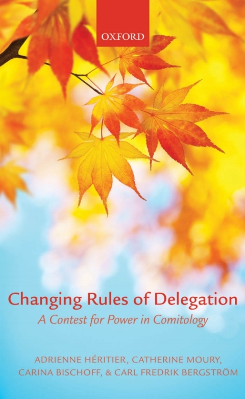 Cover image for book Changing Rules of Delegation