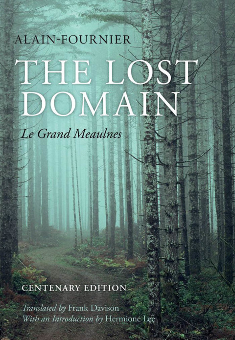 Cover image for book The Lost Domain