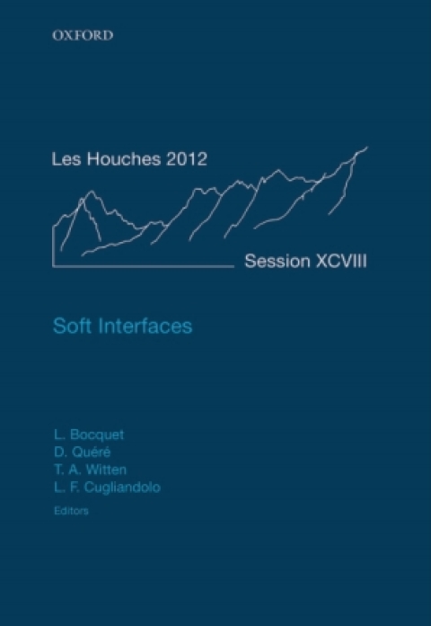 Cover image for book Soft Interfaces