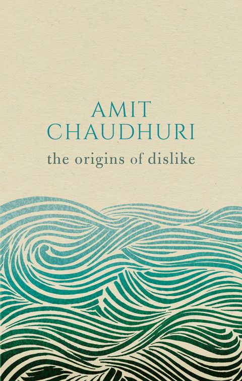 Cover image for book The Origins of Dislike