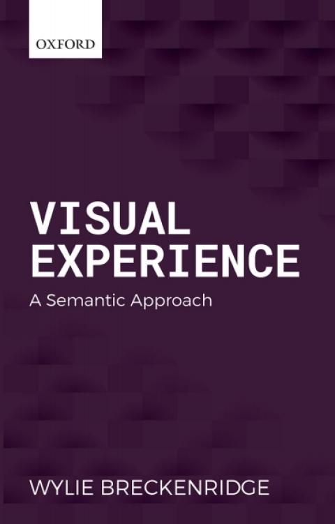 Cover image for book Visual Experience