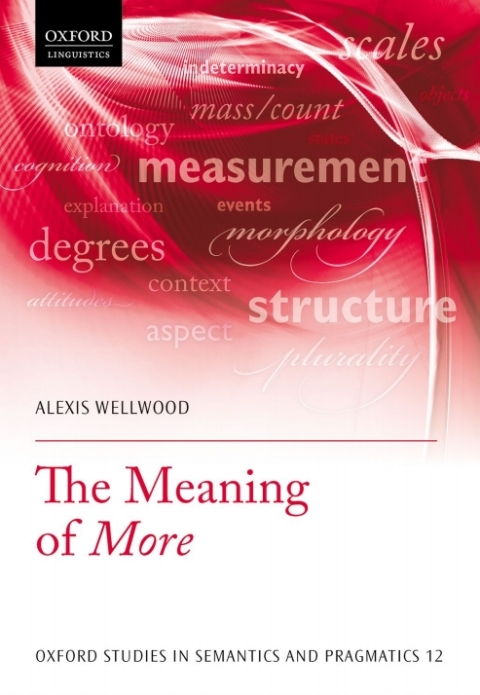 Cover image for book The Meaning of More