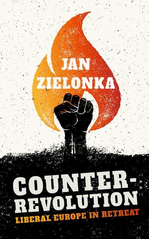 Cover image for book Counter-Revolution