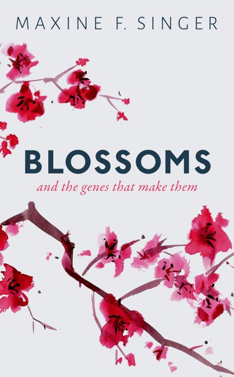 Cover image for book Blossoms