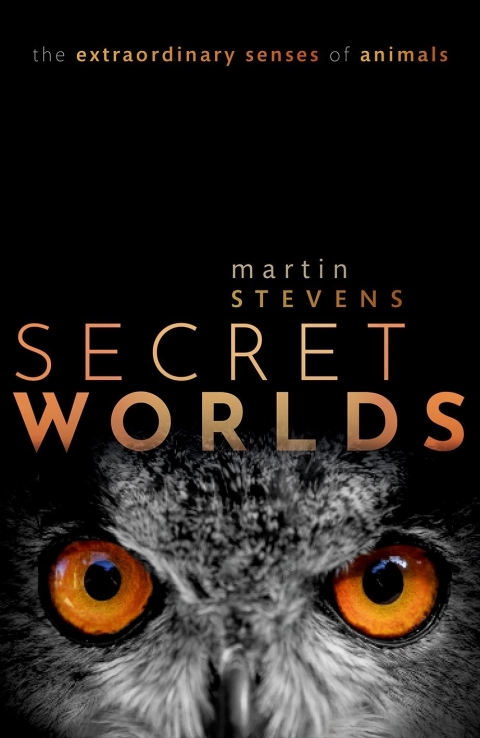Cover image for book Secret Worlds