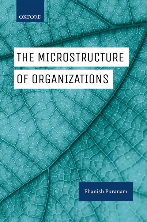 Cover image for book The Microstructure of Organizations