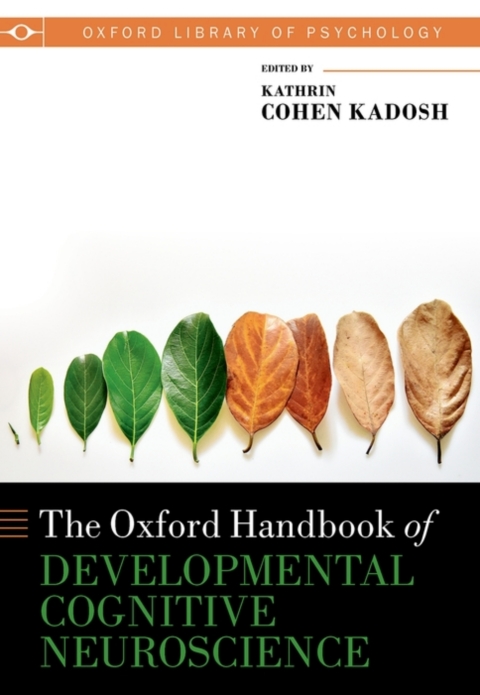 Cover image for book Oxford Handbook of Developmental Cognitive Neuroscience