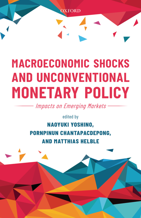 Cover image for book Macroeconomic Shocks and Unconventional Monetary Policy