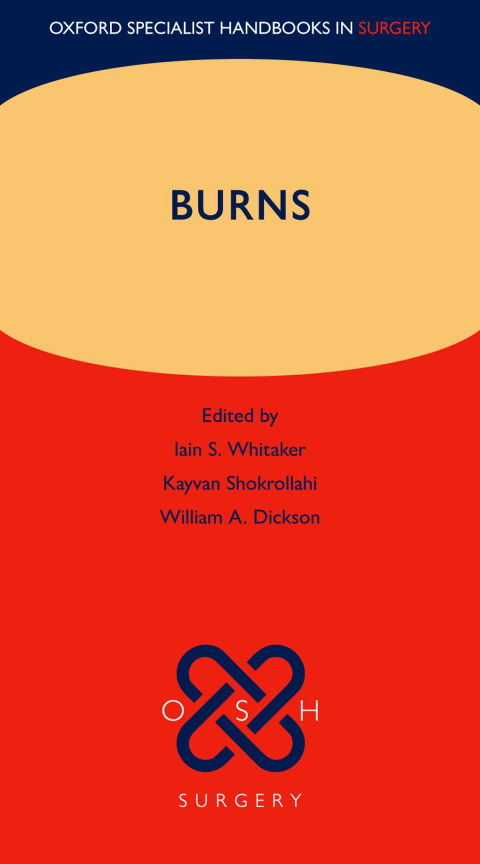 Cover image for book Burns