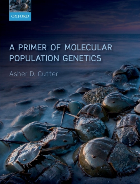 Cover image for book A Primer of Molecular Population Genetics