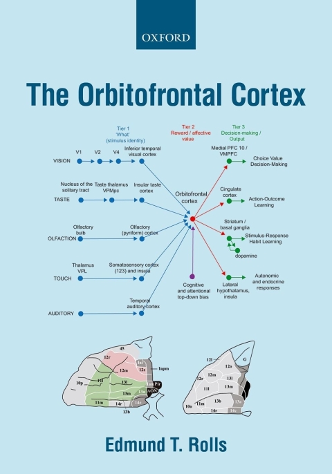 Cover image for book The Orbitofrontal Cortex