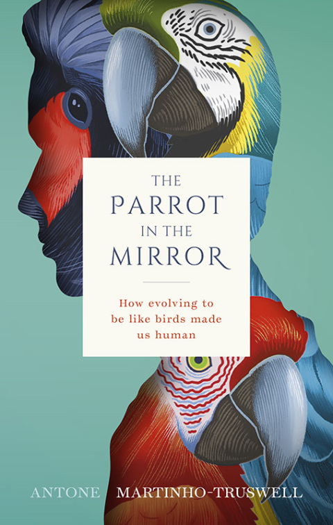 Cover image for book The Parrot in the Mirror