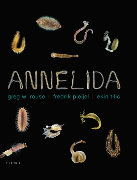 Cover image for book Annelida