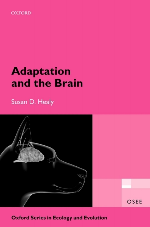 Cover image for book Adaptation and the Brain