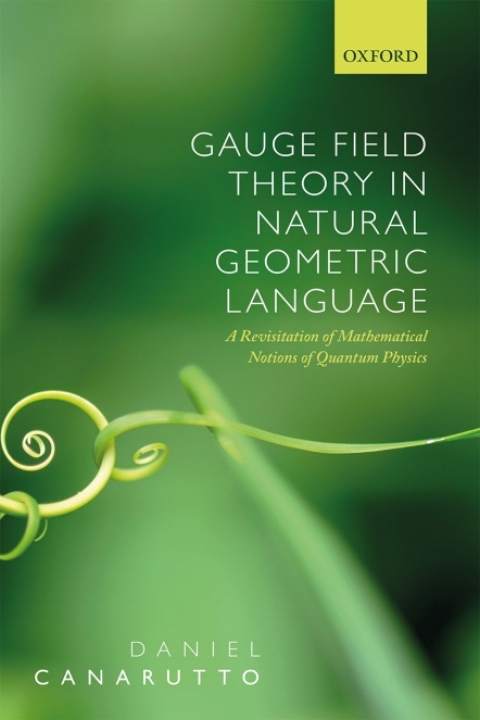Cover image for book Gauge Field Theory in Natural Geometric Language