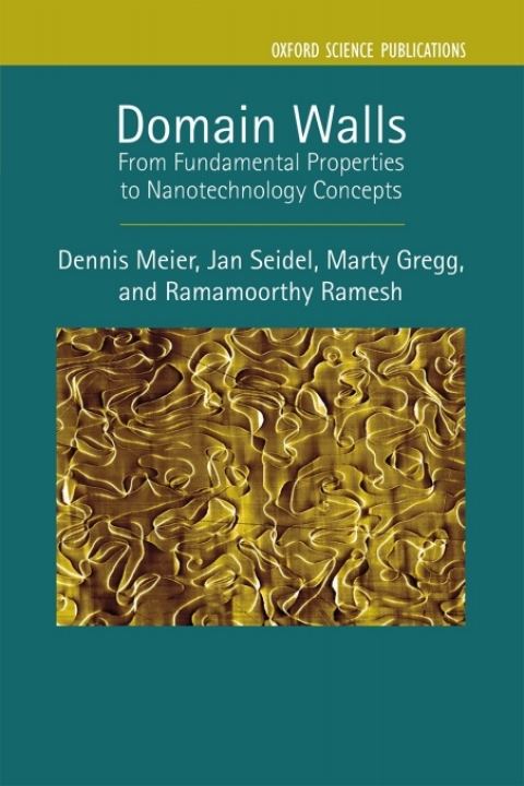 Cover image for book Domain Walls