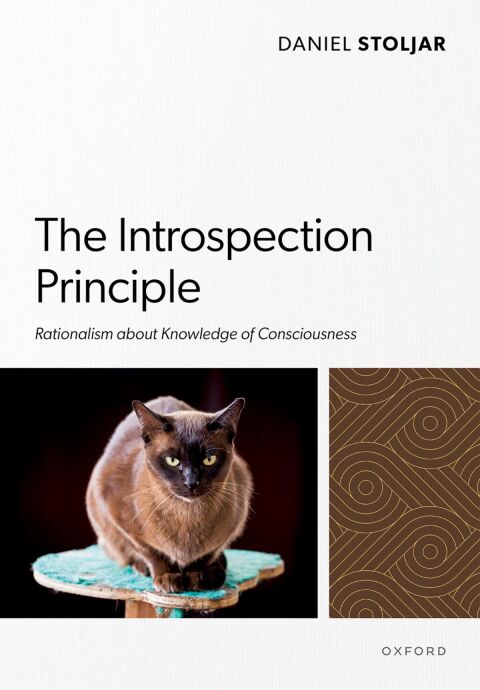 Cover image for book The Introspection Principle