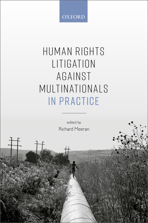 Cover image for book Human Rights Litigation against Multinationals in Practice