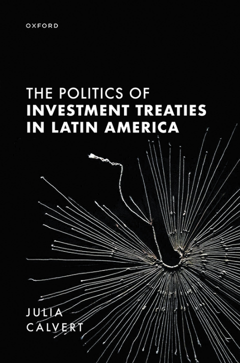 Cover image for book The Politics of Investment Treaties in Latin America