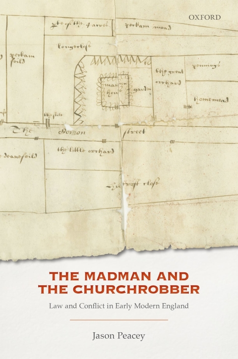 Cover image for book The Madman and the Churchrobber