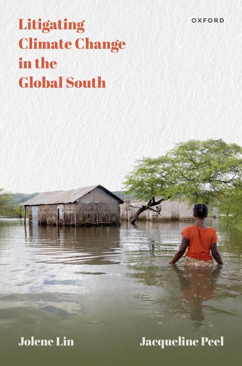 Cover image for book Litigating Climate Change in the Global South