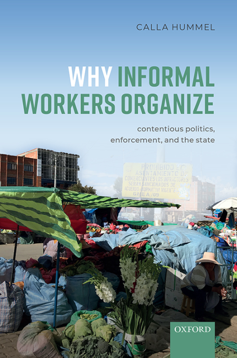 Cover image for book Why Informal Workers Organize